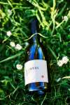 Flowers Chardonnay in the Grass
