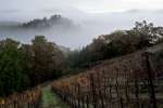 Camp Meeting Ridge with Fog