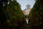 Camp Meeting Ridge Vineyard with House