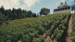 Vineyards: Camp Meeting Ridge with House
