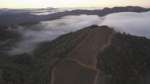 Vineyards: Sea View Ridge